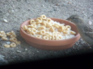 Yumm!