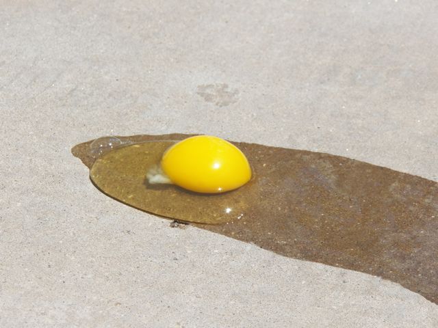 Runny Egg
