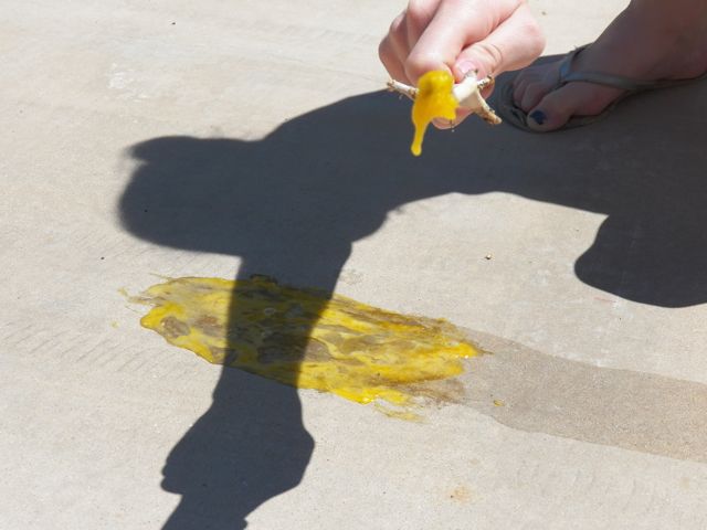 Scrambled Egg