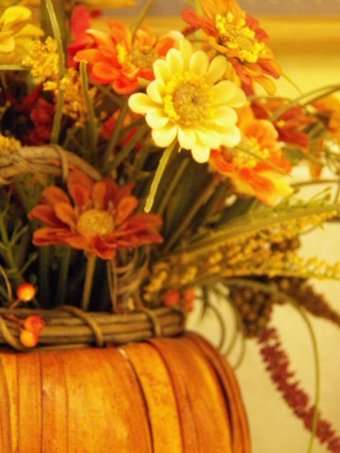 Orange Autumn