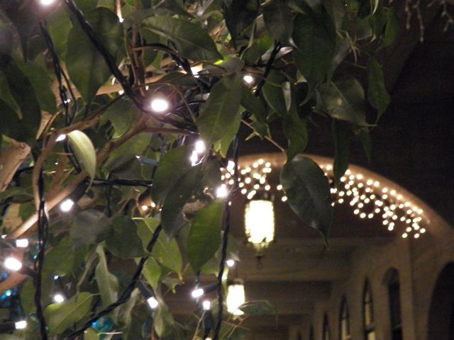 Sidewalk Lights